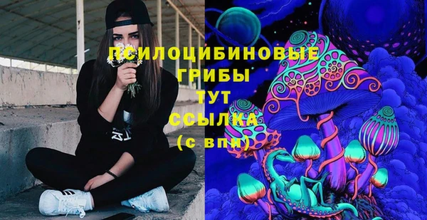 дмт Армянск