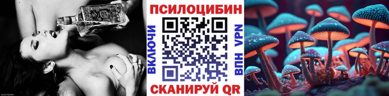 Галлюциногенные грибы Psilocybe  Суджа 